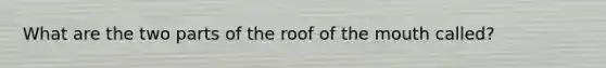 What are the two parts of the roof of the mouth called?