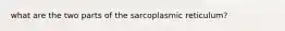 what are the two parts of the sarcoplasmic reticulum?