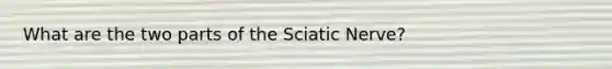 What are the two parts of the Sciatic Nerve?