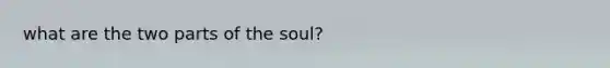 what are the two parts of the soul?