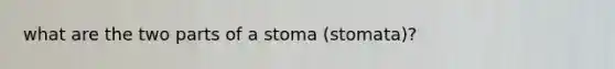 what are the two parts of a stoma (stomata)?