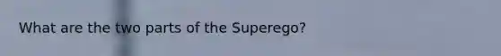 What are the two parts of the Superego?