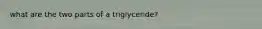 what are the two parts of a triglyceride?