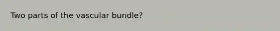 Two parts of the vascular bundle?