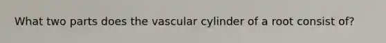 What two parts does the vascular cylinder of a root consist of?