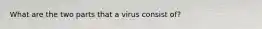 What are the two parts that a virus consist of?