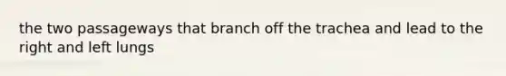 the two passageways that branch off the trachea and lead to the right and left lungs