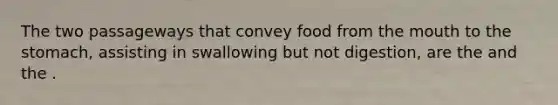 The two passageways that convey food from the mouth to the stomach, assisting in swallowing but not digestion, are the and the .