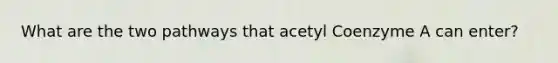 What are the two pathways that acetyl Coenzyme A can enter?