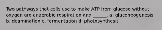 Two pathways that cells use to make ATP from glucose without oxygen are anaerobic respiration and ______. a. gluconeogenesis b. deamination c. fermentation d. photosynthesis