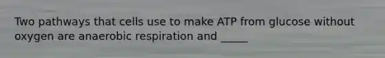 Two pathways that cells use to make ATP from glucose without oxygen are anaerobic respiration and _____