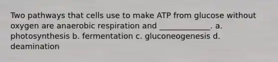 Two pathways that cells use to make ATP from glucose without oxygen are anaerobic respiration and _____________. a. photosynthesis b. fermentation c. gluconeogenesis d. deamination