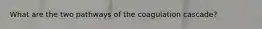 What are the two pathways of the coagulation cascade?