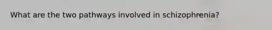 What are the two pathways involved in schizophrenia?