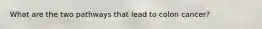 What are the two pathways that lead to colon cancer?