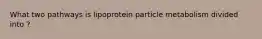 What two pathways is lipoprotein particle metabolism divided into ?