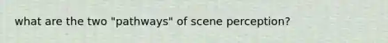 what are the two "pathways" of scene perception?