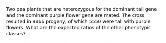 Two pea plants that are heterozygous for the dominant tall gene and the dominant purple flower gene are mated. The cross resulted in 9866 progeny, of which 5550 were tall with purple flowers. What are the expected ratios of the other phenotypic classes?