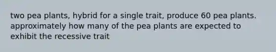 two pea plants, hybrid for a single trait, produce 60 pea plants. approximately how many of the pea plants are expected to exhibit the recessive trait