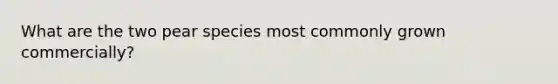 What are the two pear species most commonly grown commercially?