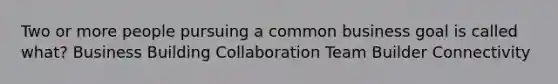 Two or more people pursuing a common business goal is called what? Business Building Collaboration Team Builder Connectivity