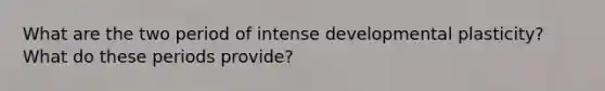 What are the two period of intense developmental plasticity? What do these periods provide?