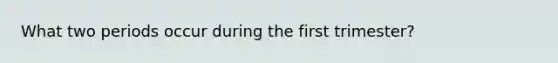 What two periods occur during the first trimester?