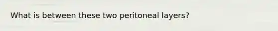 What is between these two peritoneal layers?