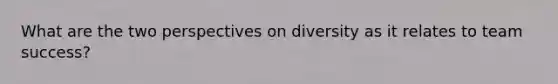 What are the two perspectives on diversity as it relates to team success?