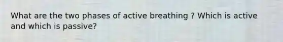 What are the two phases of active breathing ? Which is active and which is passive?