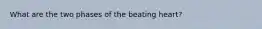 What are the two phases of the beating heart?