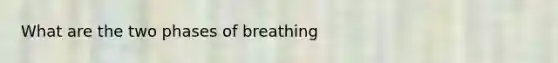 What are the two phases of breathing