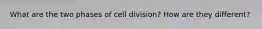 What are the two phases of cell division? How are they different?