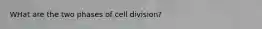 WHat are the two phases of cell division?