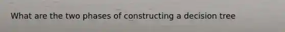 What are the two phases of constructing a decision tree