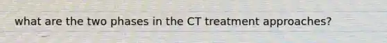 what are the two phases in the CT treatment approaches?