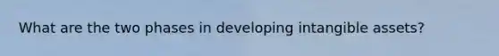 What are the two phases in developing intangible assets?