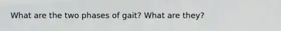 What are the two phases of gait? What are they?