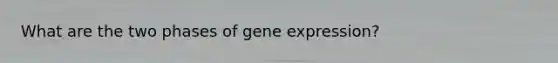 What are the two phases of <a href='https://www.questionai.com/knowledge/kFtiqWOIJT-gene-expression' class='anchor-knowledge'>gene expression</a>?