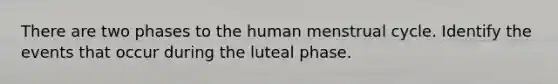 There are two phases to the human menstrual cycle. Identify the events that occur during the luteal phase.