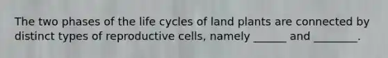 The two phases of the life cycles of land plants are connected by distinct types of reproductive cells, namely ______ and ________.