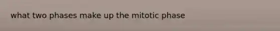 what two phases make up the mitotic phase