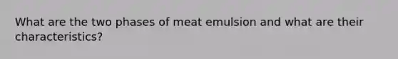 What are the two phases of meat emulsion and what are their characteristics?