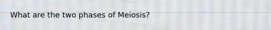 What are the two phases of Meiosis?