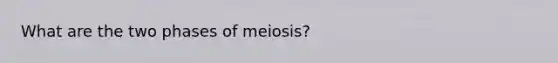 What are the two phases of meiosis?