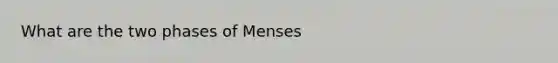 What are the two phases of Menses