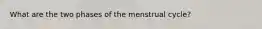 What are the two phases of the menstrual cycle?