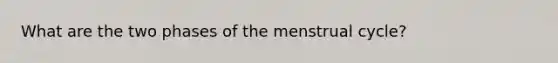 What are the two phases of the menstrual cycle?