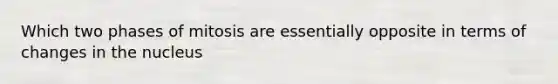 Which two phases of mitosis are essentially opposite in terms of changes in the nucleus