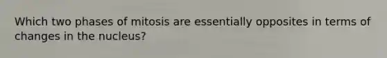 Which two phases of mitosis are essentially opposites in terms of changes in the nucleus?